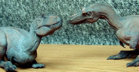 Pachyrhinosaurus Vs Gorgosaurus