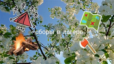 сборы в лагерь - YouTube