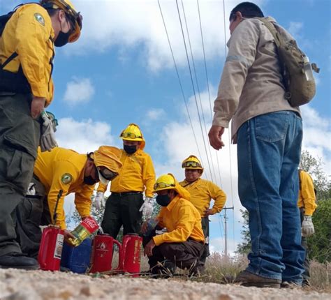 Se Suman Cuatro Brigadas Rurales Para El Combate De Incendios Diario