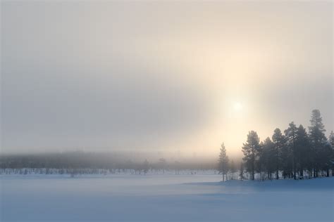 Arctic Mist, a winter sunset in a Swedish boreal forest - NiO Photography