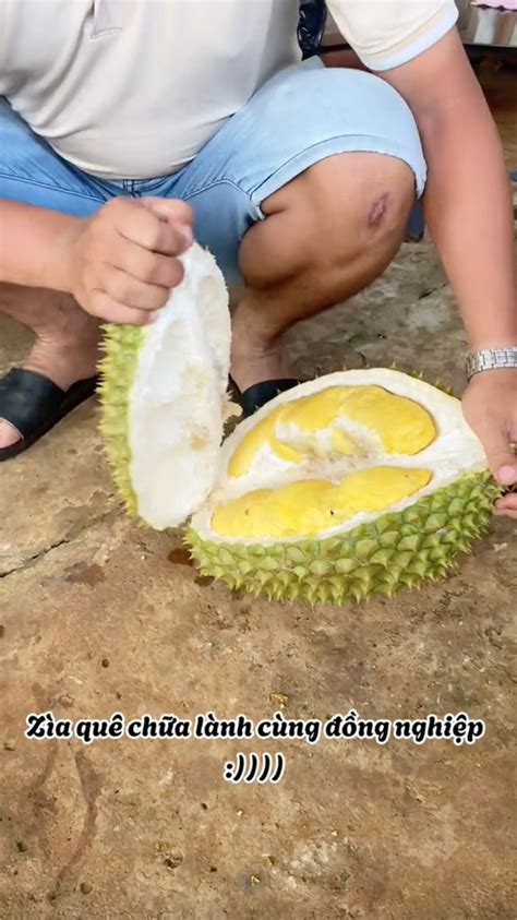 Th Vui Ang Hot D O N Y Thi Nhau V Qu Ng Nghi P Ch A L Nh Vui Banh N C V A R V A Vi