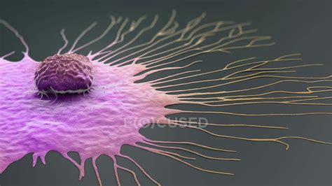 Migrating Breast Cancer Cell Digital 3d Illustration — Migration