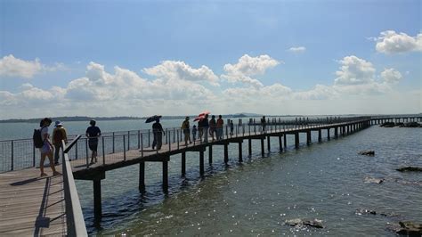 Adventures With The Naked Hermit Crabs Great Day At Chek Jawa On A Saturday Morning