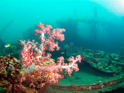 Shipwreck USS Liberty With Many Diver Bubbles Bali Indonesia Asia