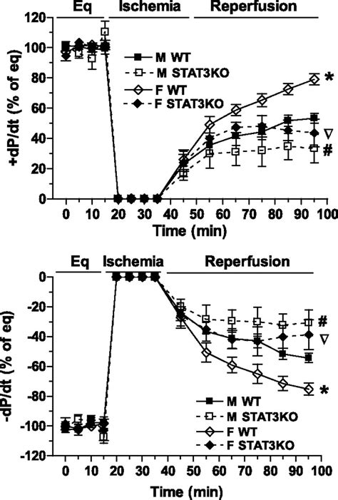 Sex Differences In Endothelial Stat3 Mediate Sex Differences In