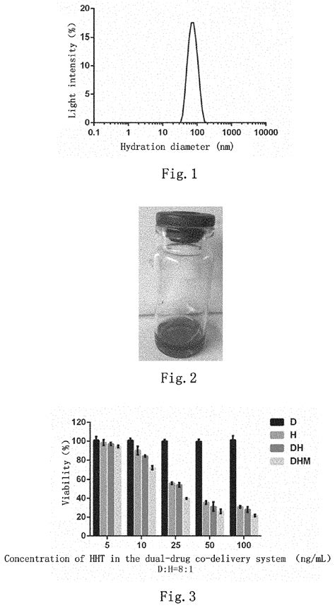 Dual Drug Co Delivery System Preparation Method Therefor And Use