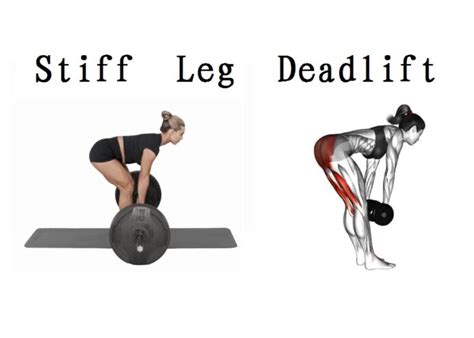 Master the Stiff Leg Deadlift: A Guide to Proper Form, Variations, and ...