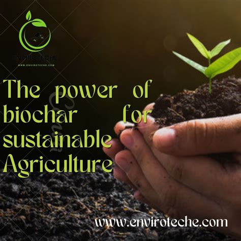 Unleashing The Power Of Biochar For Sustainable Agriculture 1