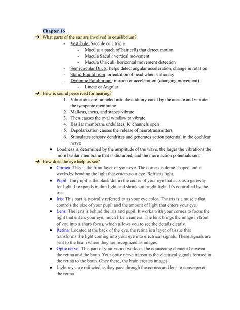 Anatomy And Physiology Ll Final Chapter What Parts Of The Ear Are