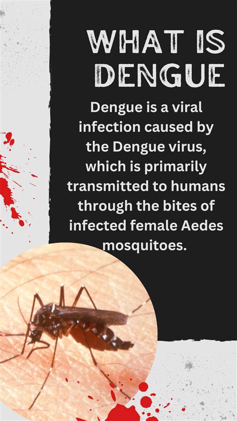 Demystifying Dengue Fever: Early Symptoms and Transmission Explained ...