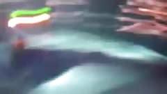 Napaljena Koleginica Free Amateur Porn Video F Xhamster