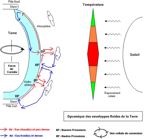 S Ance Circulation Des Enveloppes Fluides Svt Seconde Lyc E