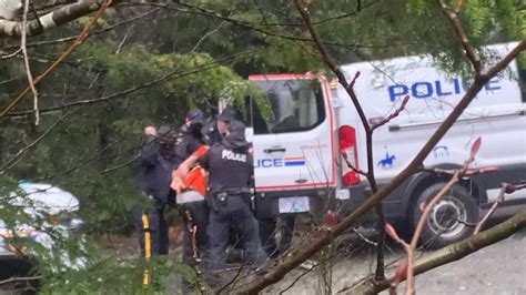 Fairy Creek Land Defenders Say Rcmp Are Doing ‘wellness Checks In Riot