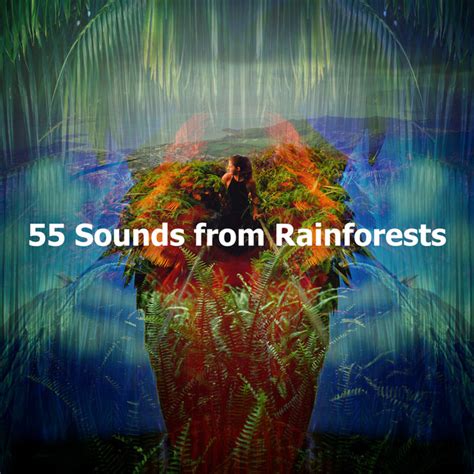 55 Sounds From Rainforests Album By Calming Rainforest Sounds Spotify