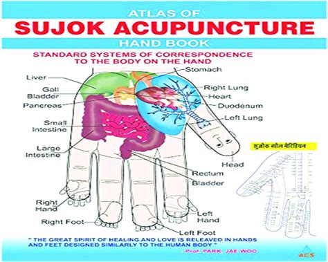 Sujok A Therapy Seeking Recognition