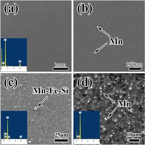 SEM Morphologies Of A B As Cast And C D As Extruded Mg 3Mn