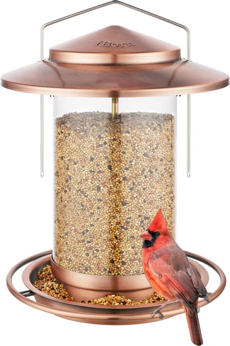 Amazon Perky Pet S Panorama Bird Feeder Everything Else