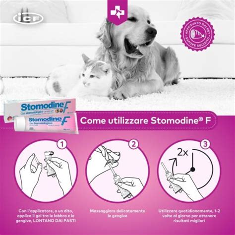 Stomodine F Antibacterial Soothing Gel 30ml Dogs Cats Tooth Gums Plaque ...