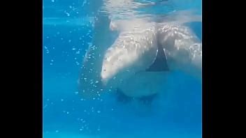 Culona Robuda Nalgona Bajo El Agua Xvideos