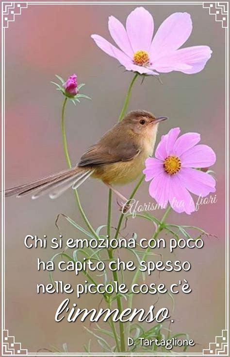 Frasi Bellissime Da Condividere Sul Web Buongiornomattinieri It