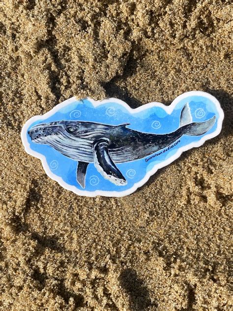 Cute Humpback Whale Vinyl Sticker Whale Sticker Tumbler Decal Ocean