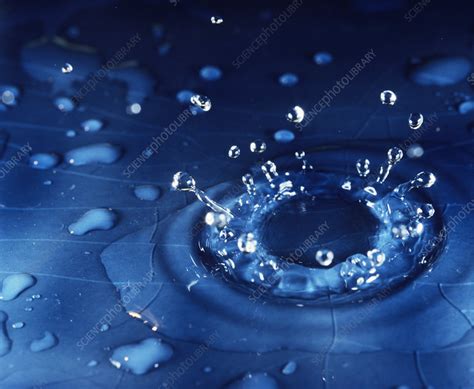 Water Droplet Impact Sequence Stock Image H Science