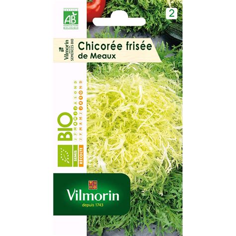 Chicorée frisée de Meaux Graines bio Vilmorin