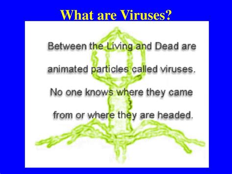 PPT BIODIVERSITY I BIOL 1051 What Are Viruses PowerPoint