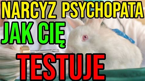 NARCYZ JAK CIĘ TESTUJE NARCYSTYCZNE ZABURZENIE OSOBOWOŚCI narcyz