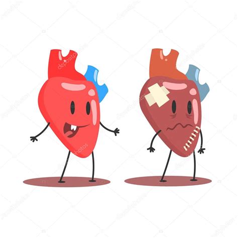 Corazón Humano Órgano Interno Saludable Vs Insalubre Médico Anatómico