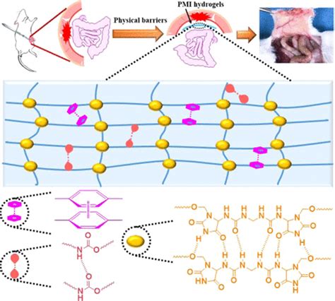 H Bonding Supramolecular Hydrogels With Promising Mechanical Strength