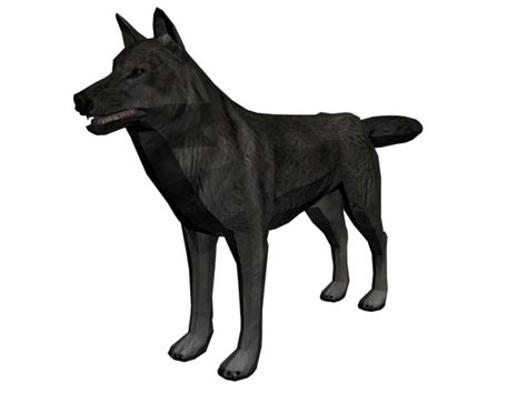 Lobo PNG & Transparent Lobo.PNG | HDPng