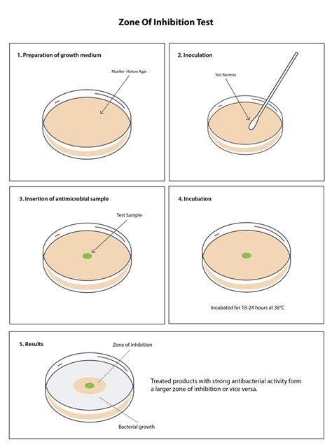 Zone of Inhibition Test - Microbe Investigations