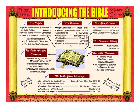 Introducing The Bible | Bible doctrine, Understanding the bible, Bible study help