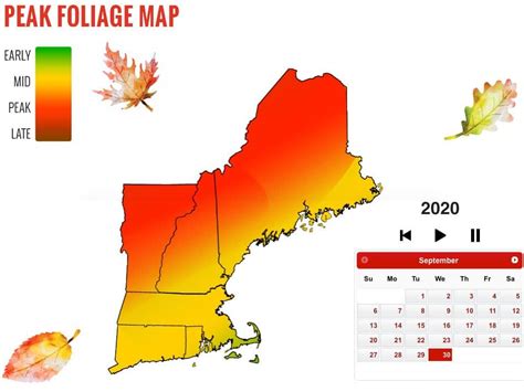 Live Fall Foliage Map - Joey Rosita