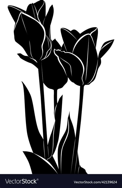 Bouquet Of Tulips Silhouette Flowers Royalty Free Vector