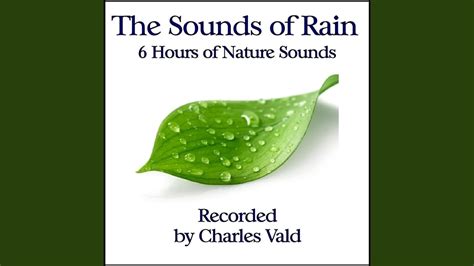 Meditation Rain Pitter Patter Rain Sounds 60 Minutes Youtube Music