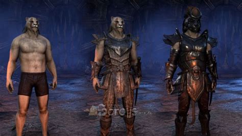 The Elder Scrolls Online Warum Wahl der Rüstung in ESO noch