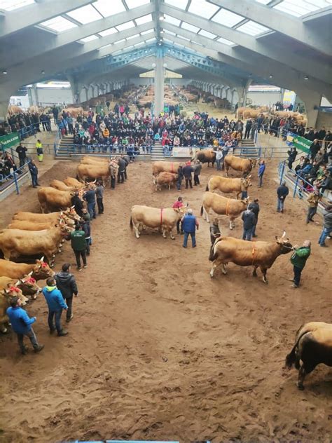 Resultados Del XXXIV Concurso Subasta De Asturiana De Los Valles