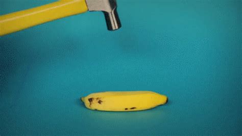 banana joke gif | WiffleGif