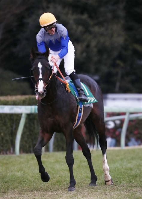 【マリナの日曜競馬コラム・スプリングs】 日刊ゲンダイ競馬