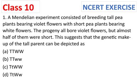 A Mendelian Experiment Consisted Of Breeding Tall Pea Plants Bearing