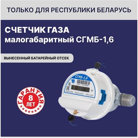 Счетприбор Счетчик газа СГМБ-1,6-30 Струйный, G1.6 - купить с доставкой ...