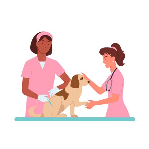 Clipart Veterinario Maschio