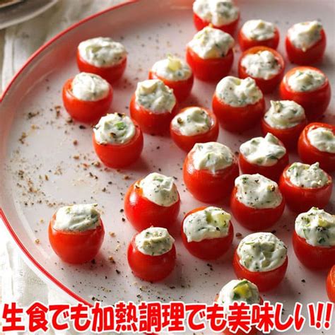 秋トマトの苗2個～【野菜苗 9cmポット自根苗】｜ 【植物のitanse】全品送料無料・即出荷