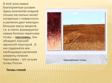 Основные типы почв России - презентация онлайн