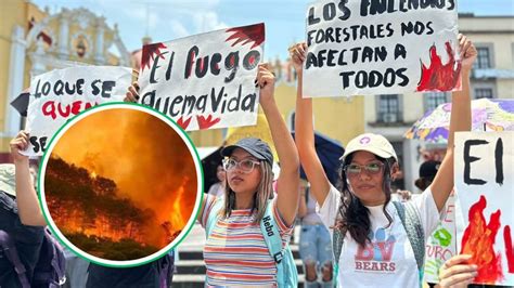 Cuitláhuac ecocida Alumnos de la Universidad Veracruzana exigen