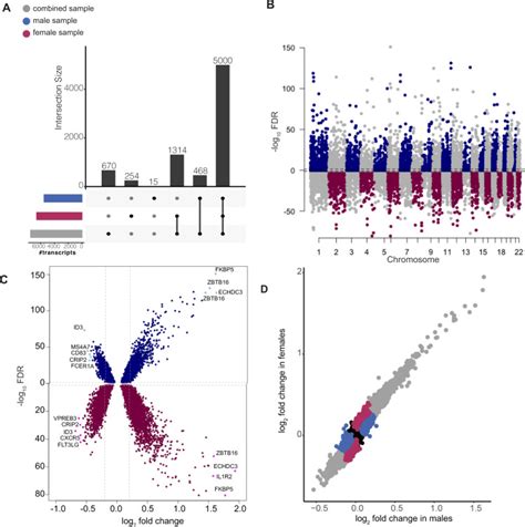 Sex Differences In The Genetic Regulation Of The Blood Transcriptome Response To Glucocorticoid