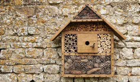 Biodiversit Fabriquer Un H Tel Insectes Pour Son Jardin Tutoriel