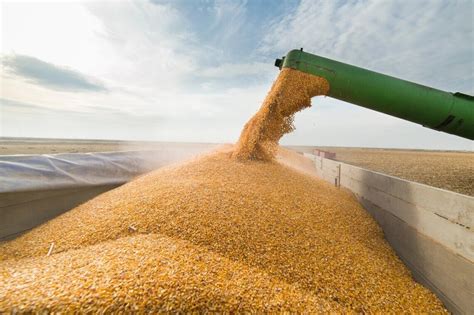 Ukraine Exported Almost Million Tons Of Grain